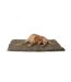 Noodle dog drying mat 90cm x 60cm sage green Scruffs-3