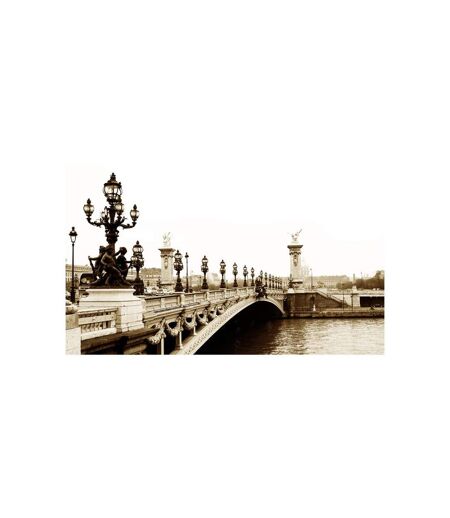 Papier Peint Pont Alexandre III, Paris II 270x450cm