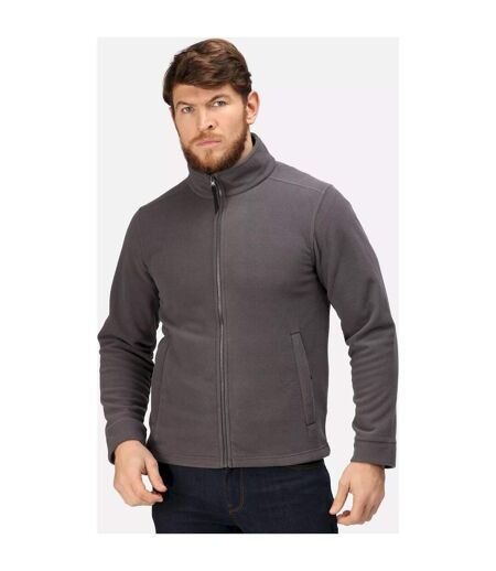 250 Veste Polaire Classique Homme Gris Regatta