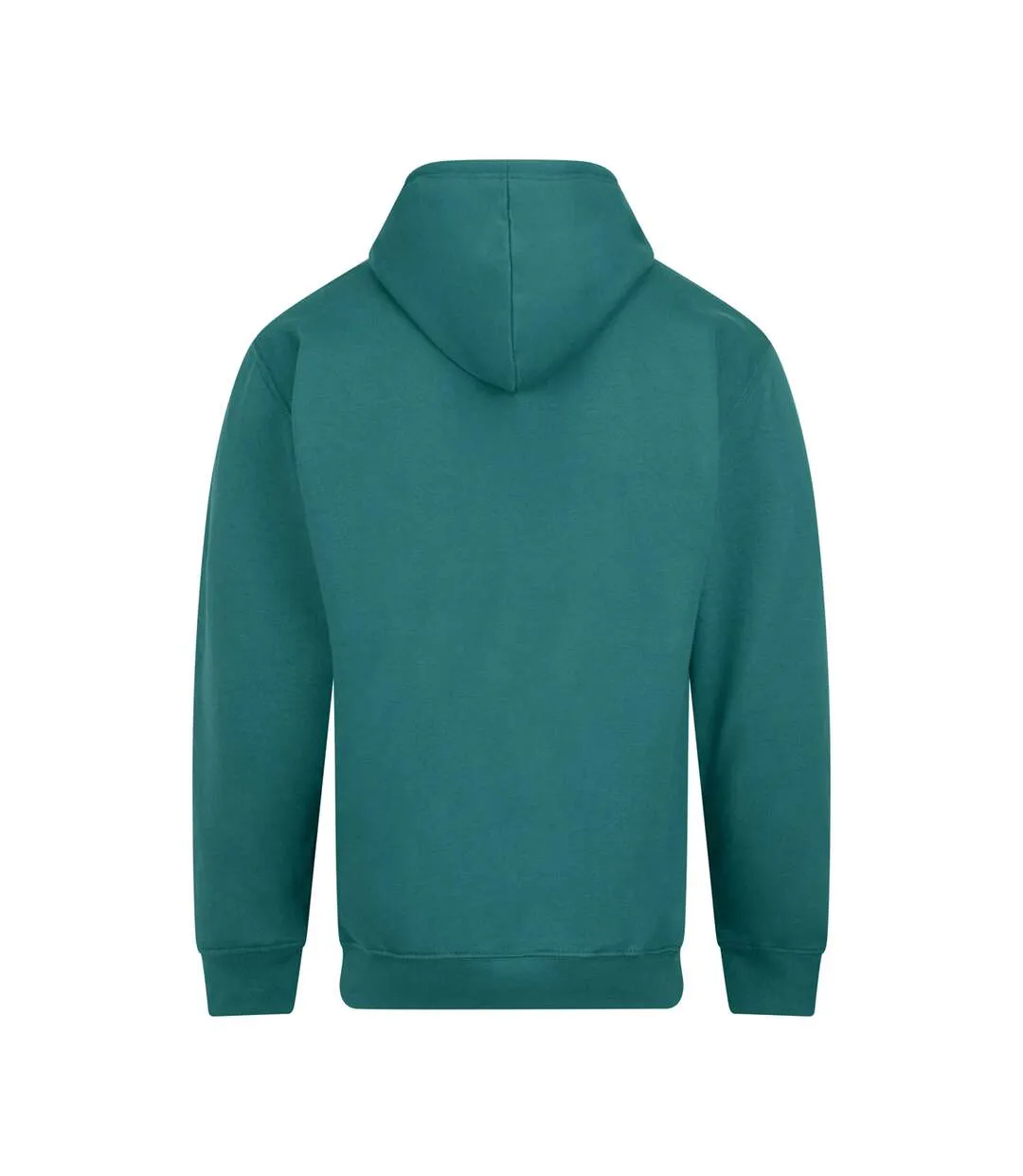 Unisex Adult College Hoodie Teal Awdis-2
