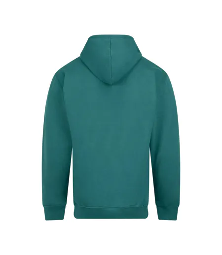 Unisex Adult College Hoodie Teal Awdis