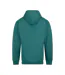 Unisex Adult College Hoodie Teal Awdis-2