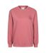 Sweat Lake District Femme Rose Clair Mountain Warehouse-1