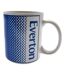 Everton FC Fade Mug (Blue) (One Size) - UTTA2605
