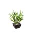Plante Artificielle en Pot Bambou 26cm Noir-1