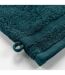 Lot de 2 Gants de Toilette Elegance 15x21cm Bleu-2