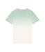 T-shirt Adulte Jade Native Spirit-1