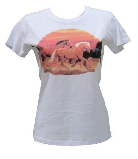T-shirt FEMME manches courtes - Chevaux solar - 6173 - Blanc