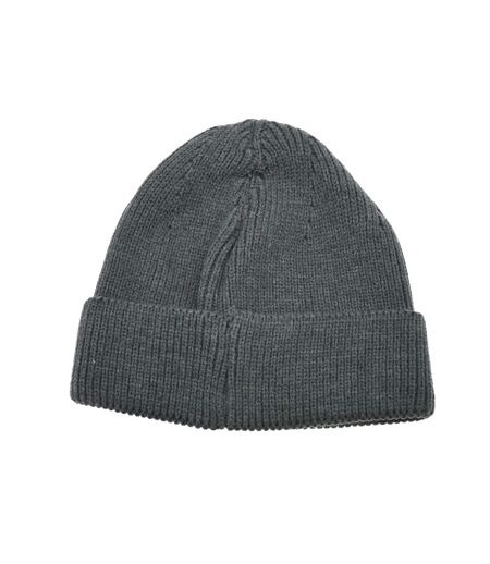 Bonnet Hiver Adulte Gris Six Peaks
