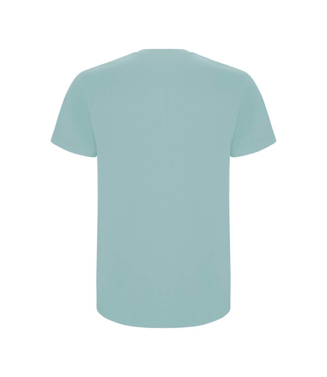 T-shirt Stafford Homme Bleu Délavé Roly-2