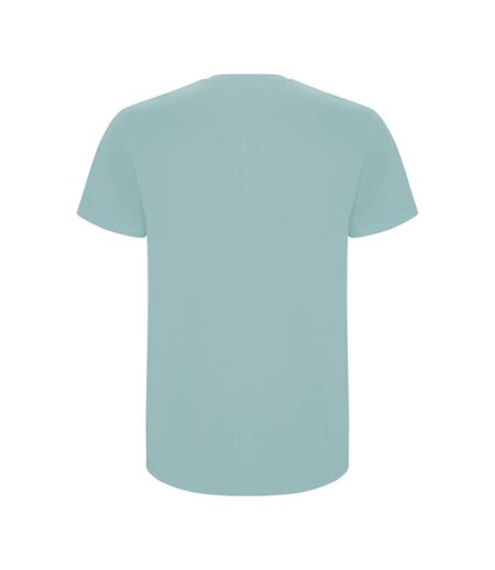 T-shirt Stafford Homme Bleu Délavé Roly