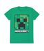 Vert Minecraft-1