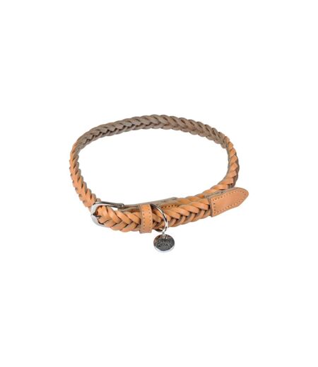 Collier pour Chien Réglable Tressé 45-65cm Naturel