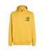 Sweat À Capuche Motif/style Impression Encre The Future Surf Society Homme Jaune O´Neill-2