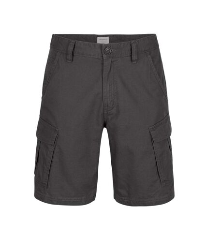 Short Cargo Gris Homme O'Neill Beach Break - 30