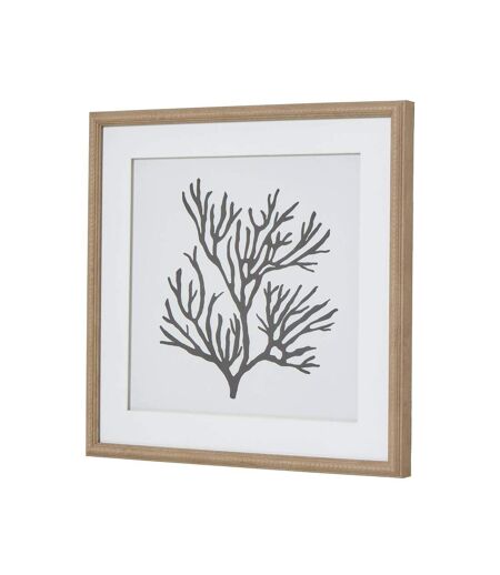 Reef coral framed print one size brown/white/black Hill Interiors