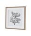 Reef coral framed print one size brown/white/black Hill Interiors-3