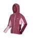 Womens/ladies Walbury Iv Lightweight Fleece Jacket Violet Amaranth Haze Regatta-4