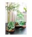 Vase en Verre sur Racine Gamal 33cm Vert-3