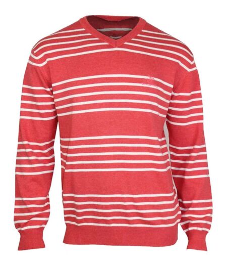 Pull col V en coton POGO1