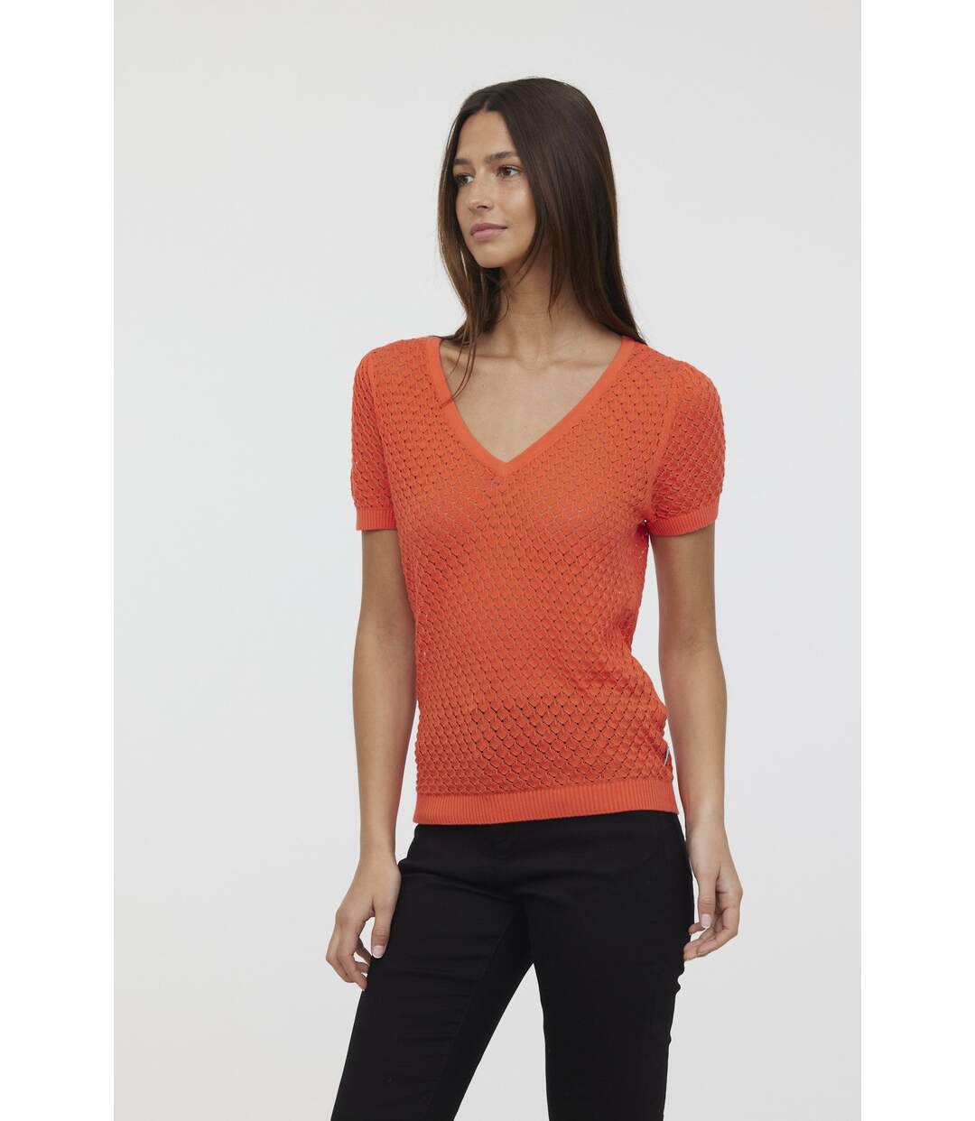 Pulls CABI Acide orange-4