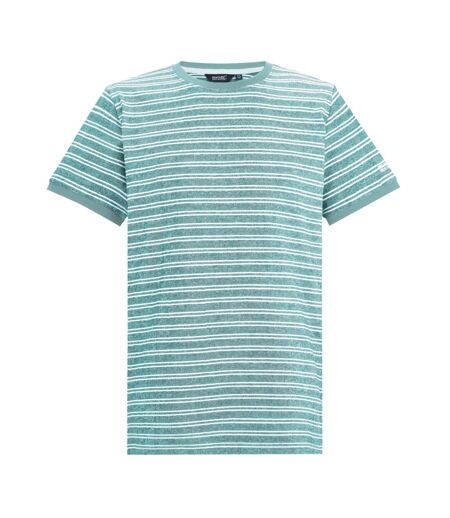 Mens Benlin Striped T-shirt Arctic White Regatta