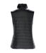 Stormtech Womens/Ladies Nautilus Quilted Vest (Black)