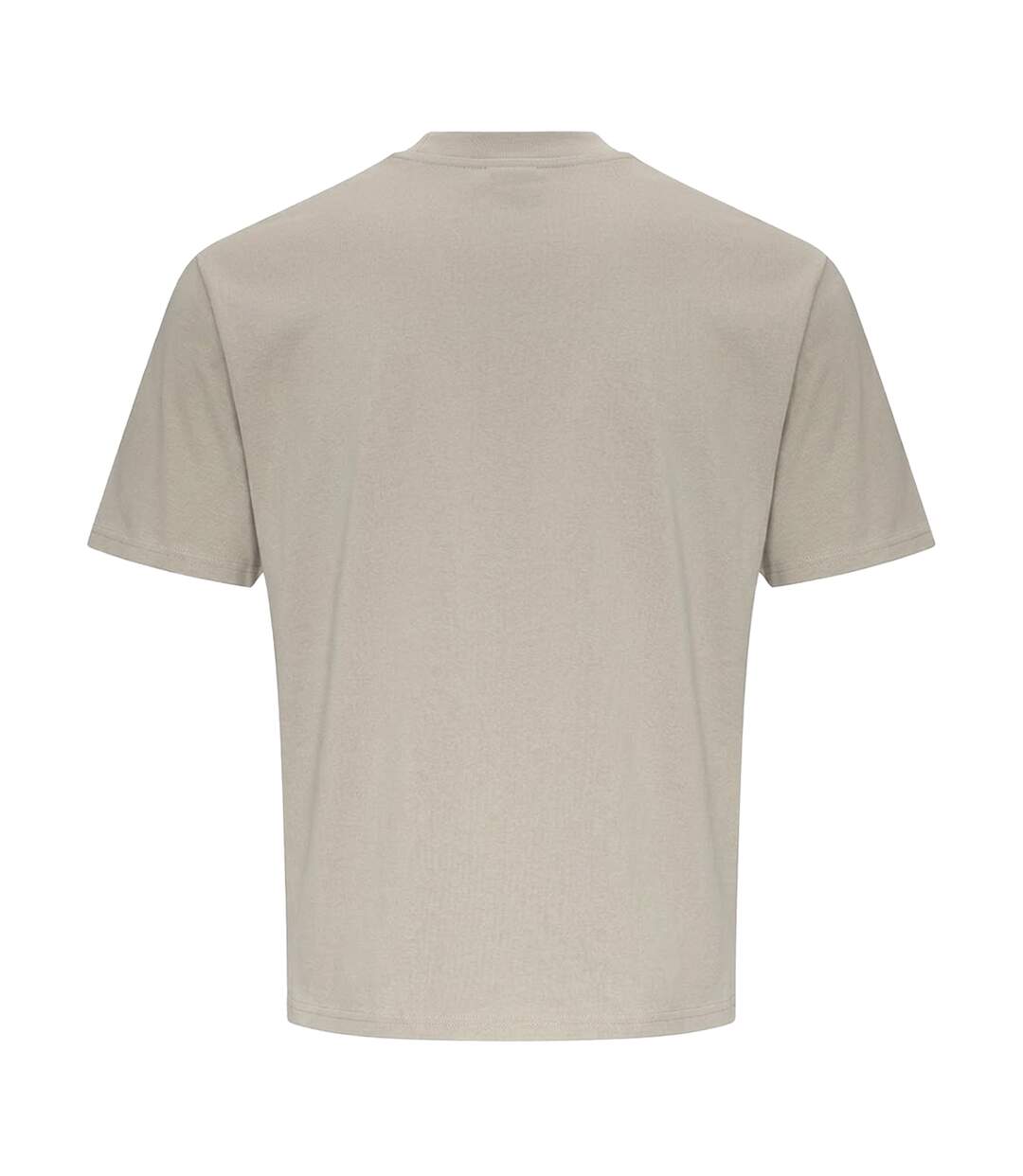 T-shirt Homme Pierre Naturelle Awdis-2