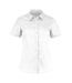 Womens/ladies Short Sleeve Tailored Poplin Shirt White Kustom Kit-1