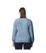 Pull Softstyle Adulte Bleu De Gris Gildan-2
