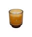 Bougie Parfumée en Verre Ilae 225g Vanille Exotique-1