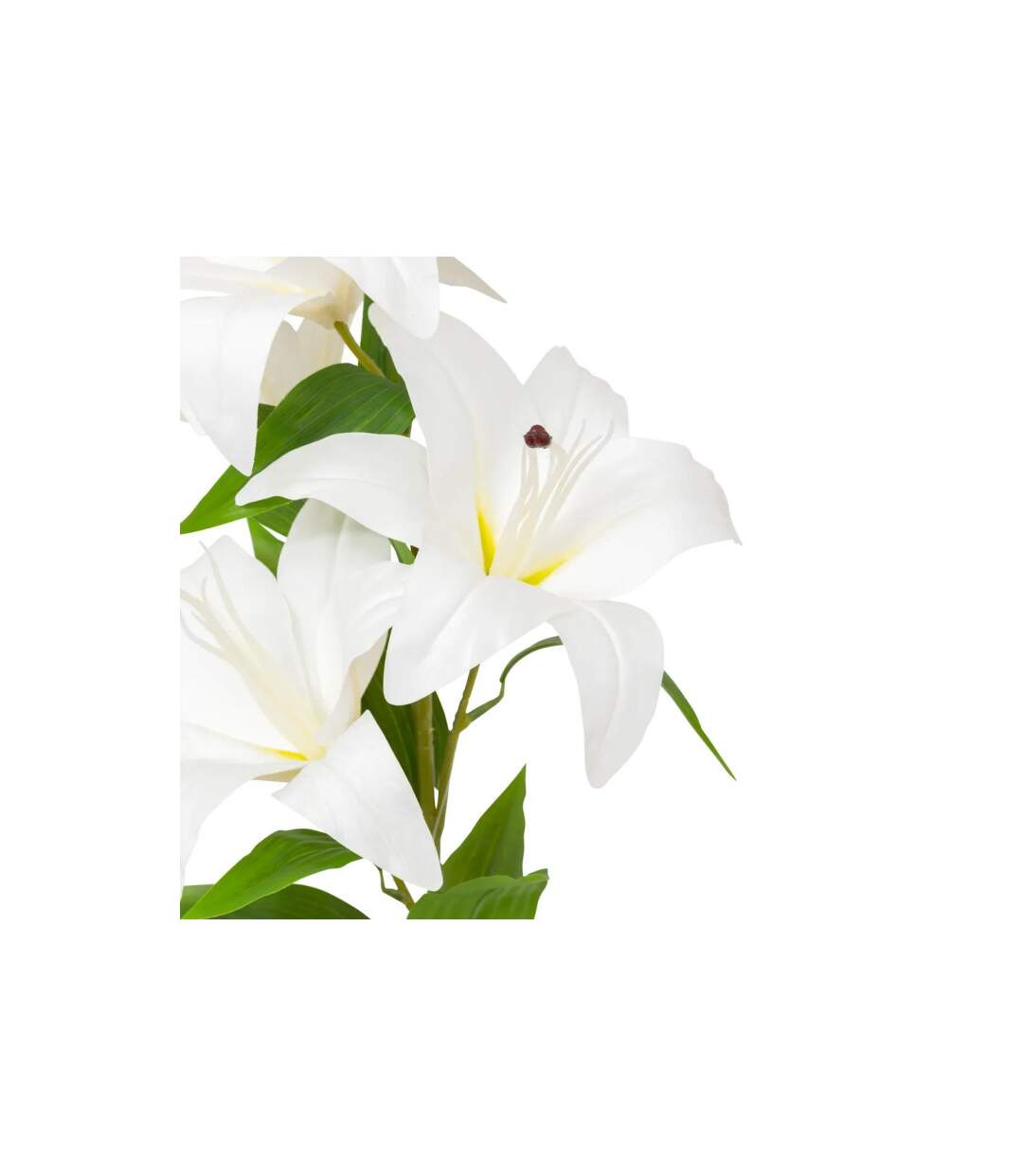 Tige Artificielle 4 Lys Jago 80cm Blanc-2