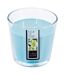 Bougie Parfumée Nina 500g Fleur Tiaré-1