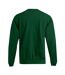 Sweat New Homme Forêt Promodoro-2