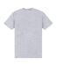 Park Fields - T-shirt EST - Adulte (Gris chiné) - UTPN468