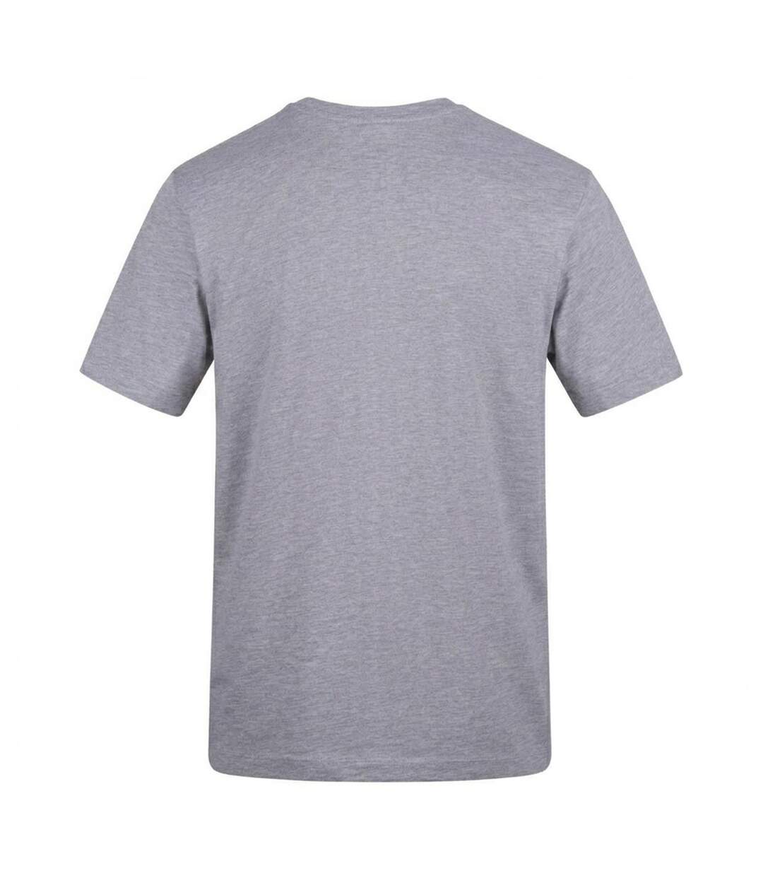 T-shirt The Bomb Adulte Gris AWD-2