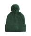Bonnet Motif/style Écusson Homme Vert Bouteille Beechfield-2