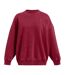 Sweat Adulte Rouge Under Armour-2