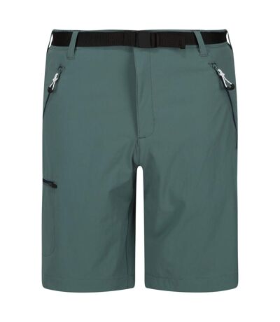 Regatta Mens Xert III Stretch Shorts (Sea Pine)