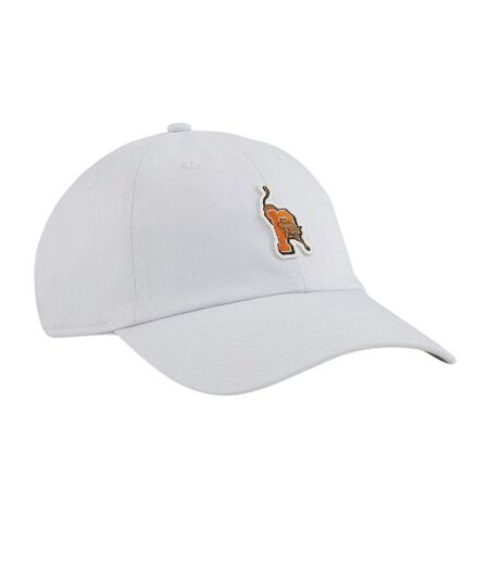 Unisex Adult Prime Dad Hat Grey Puma