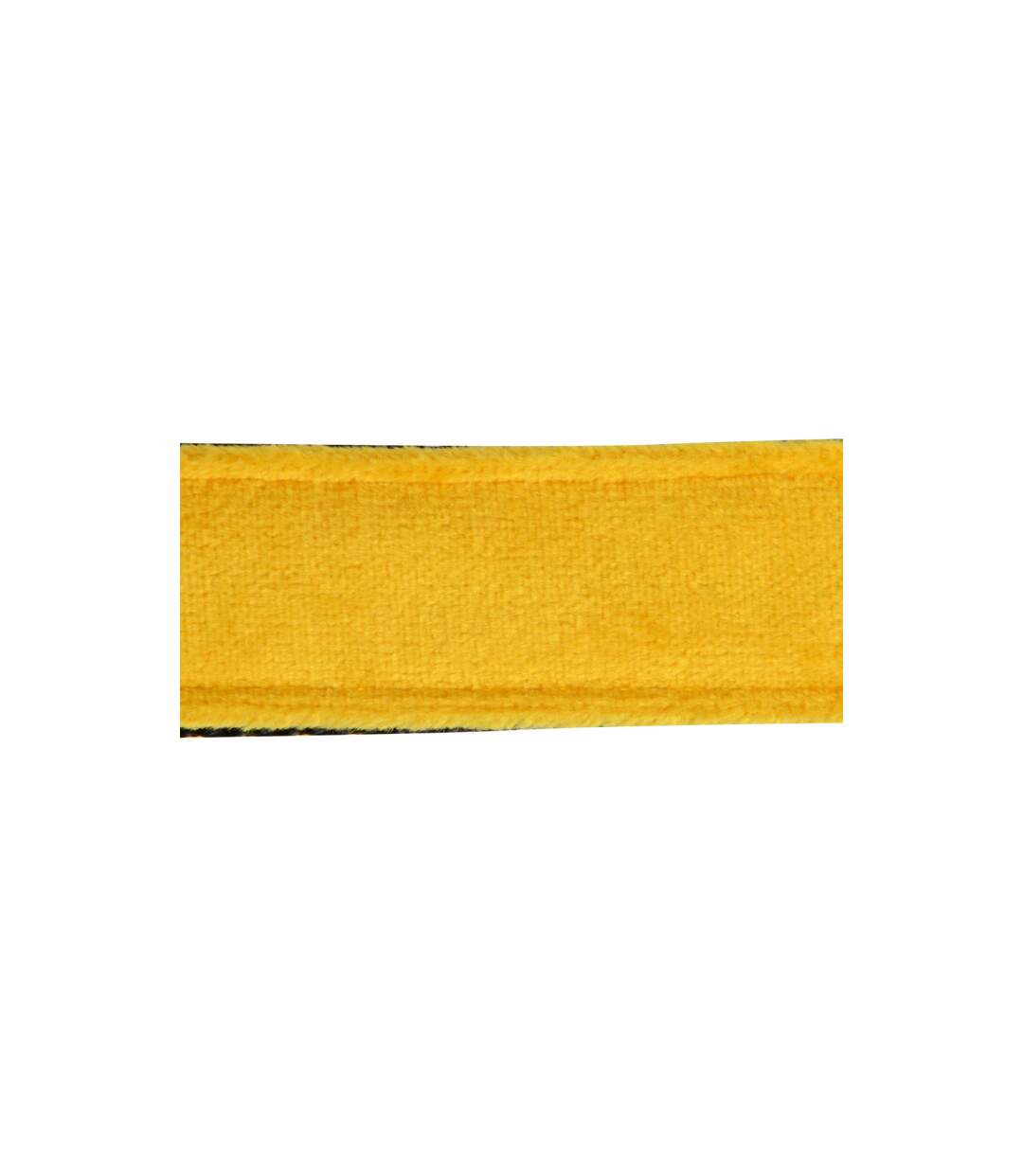 Collier pour Chien Cosy Golden 70cm Jaune-2