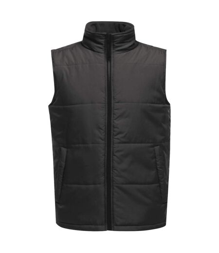 Veste Sans Manches Access Homme Gris Phoque Noir Regatta