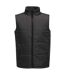 Veste Sans Manches Access Homme Gris Phoque Noir Regatta-1