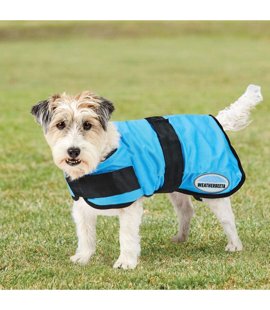 Therapy-tec dog cooling coat 60cm blue Weatherbeeta