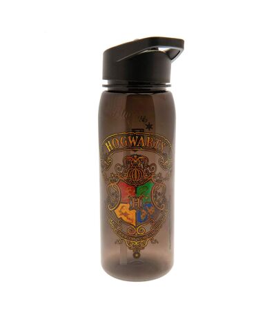 Harry Potter Hogwarts Water Bottle (Brown) (One Size) - UTTA10628