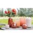 Vase Design en Verre Corrie 23cm Corail-4
