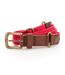 Asquith & Fox Mens Faux Leather And Canvas Belt (Cherry Red) - UTRW6144-2