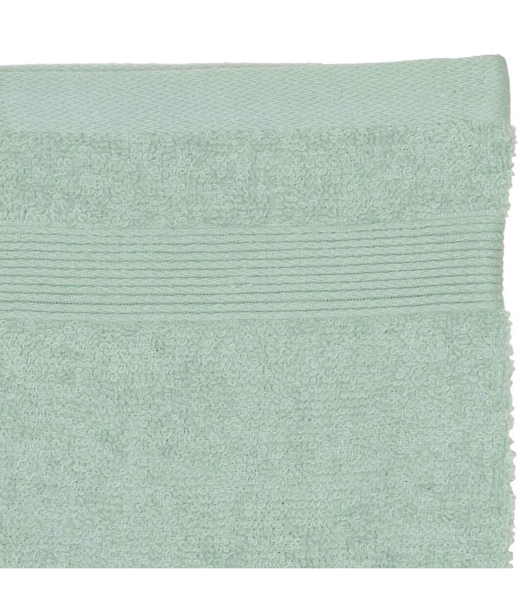Lot de 2 Gants de Toilette Confort 15x21cm Vert Céladon-2