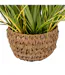Plante Herbe Artificielle en Pot Maxime 80cm Vert-3