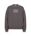 Mens Graphic Print Drop Shoulder Relaxed Fit Sweatshirt Slate Jack Wills-1